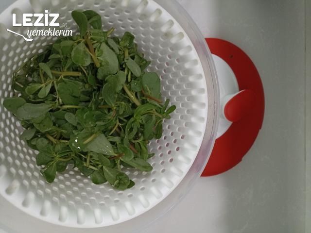 Dondurucuda Kışlık Semizotu Nasıl Hazırlanır