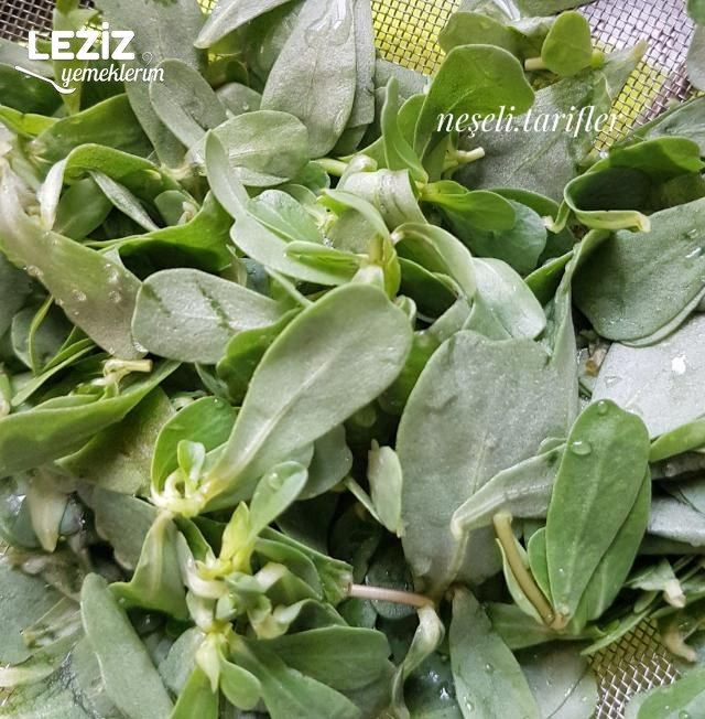 Semizotlu Salatalıklı Cacık