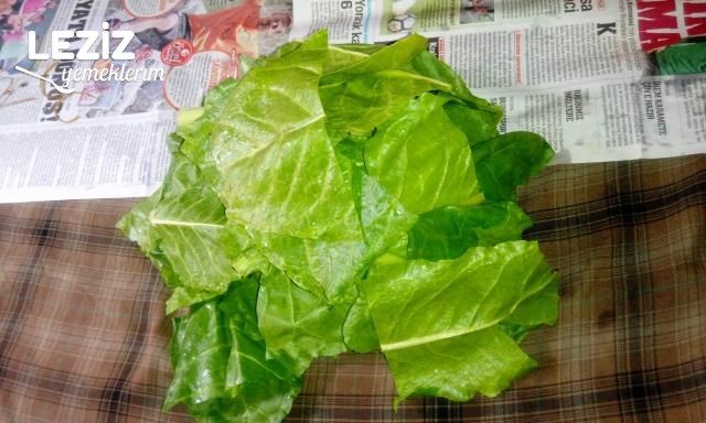 Kıymalı Pazı Sarması