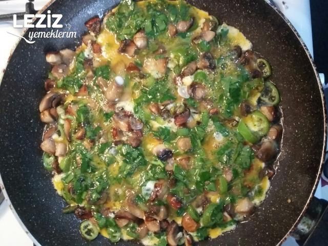 Yumurtalı Mantar (Tadına Bayılacaksınız)