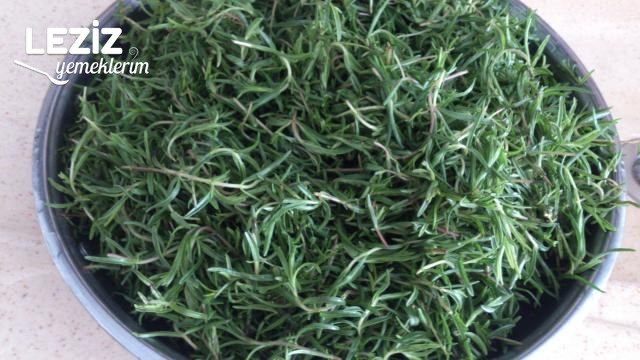 Kırmızı Biberli Kekik Salatası