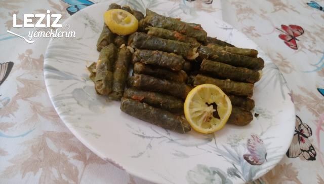 Zeytinyağlı Soslu Yaprak Sarması