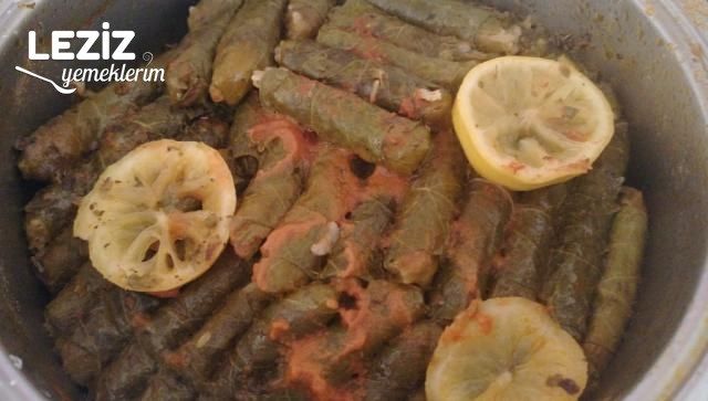Zeytinyağlı Soslu Yaprak Sarması