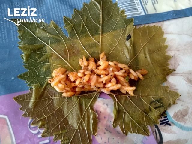 Zeytinyağlı Soslu Yaprak Sarması