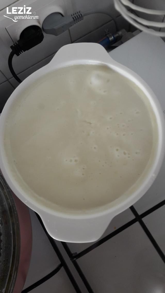 Haşhaşlı Çikolatalı Revani