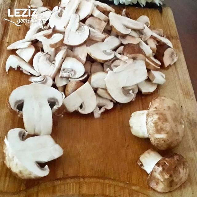 Nefis Kestane Mantarı