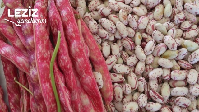 Zeytinyağlı Barbunya Yapımı