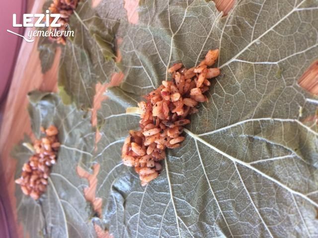 Vişneli Zeytinyağlı Yaprak Sarma