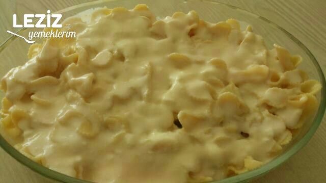Yoğurtlu Fiyonk Makarna