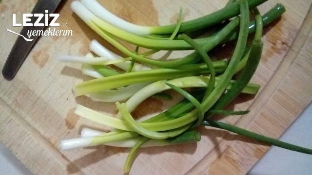 Dedenin Özel Bol Soğanlı Borcam Kebabı