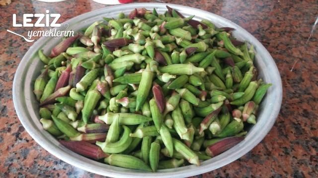 Dondurucuya Bamya Konulması