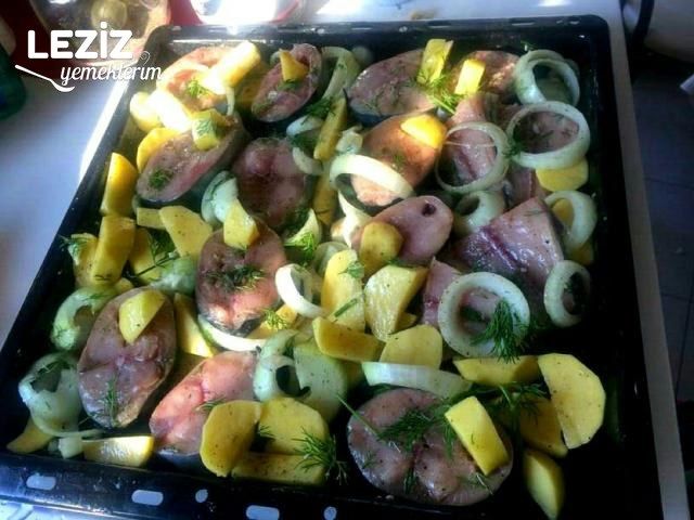 Fırında Palamut Yapılışı