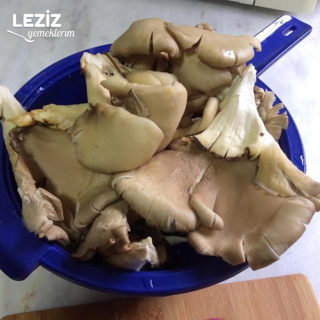 İstiridye Mantarı Kavurması Tarifi