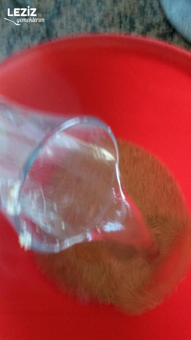 Ispanaklı Bulgur Topları