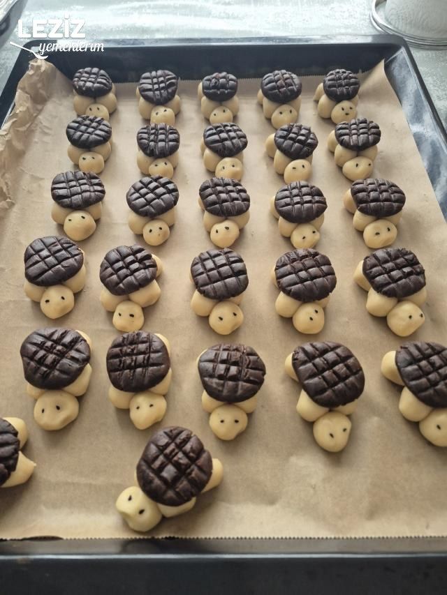 Kaplumbağa Kurabiye