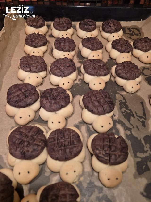 Kaplumbağa Kurabiye