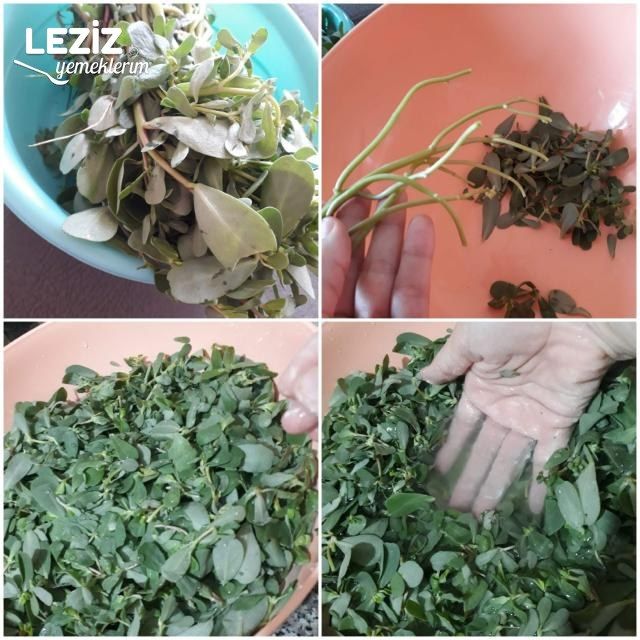 Semizotlu Yarım Ay Böreği Tarifi