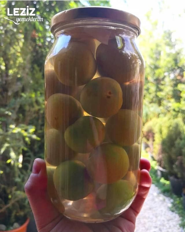 Yeşil Erik Turşusu Nasıl Yapılır