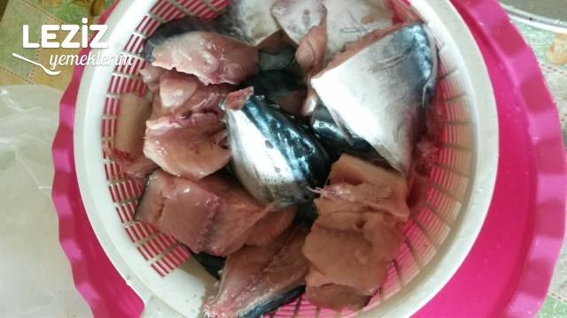 Soslu Nar Gibi Fırın Palamut