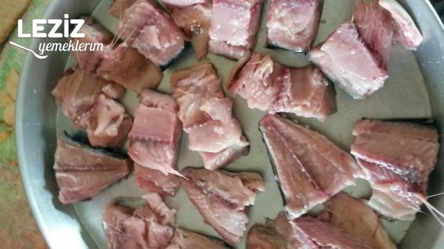 Soslu Nar Gibi Fırın Palamut