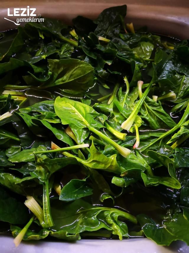 Fırında Beşamel Soslu Ispanak