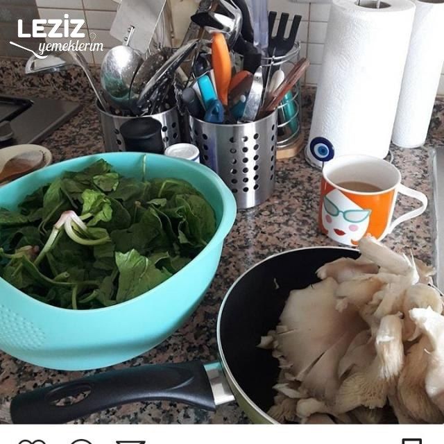 Fırında Beşemal Soslu Ispanaklı İstiridye Mantarı