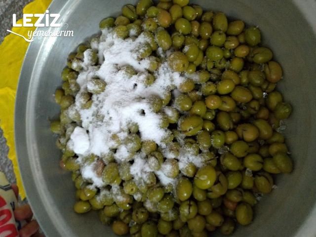 Yeşil Zeytin Yapımı