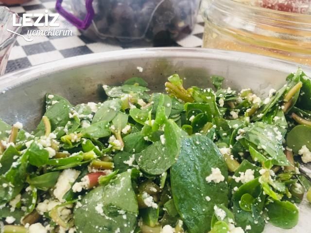 Peynirli Semizotu Salatası Nasıl Yapılır?