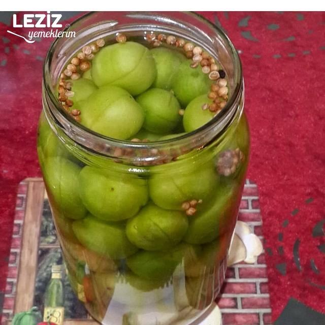 Kütür Kütür Nefis Erik Turşusu