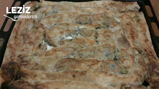Ispanaklı Tepsi Böreği Tarifi