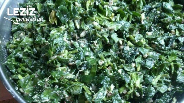 Ispanaklı Tepsi Böreği Tarifi