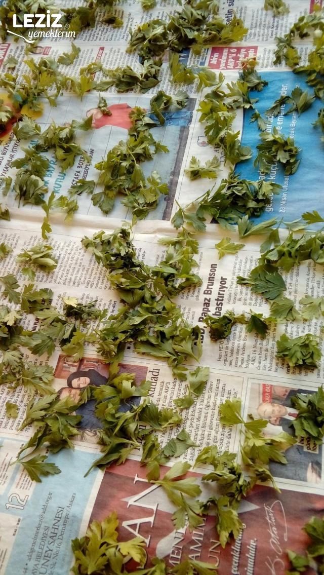 En Son Maydanoz Saklama Usulü