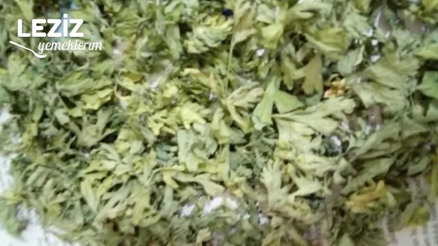 En Son Maydanoz Saklama Usulü