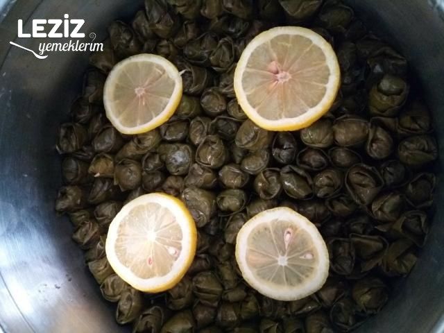 Enfes Yaprak Sarması