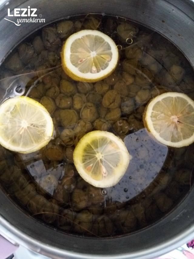 Enfes Yaprak Sarması