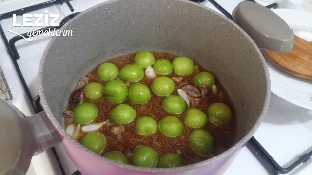 Erik Tava (Gaziantep)