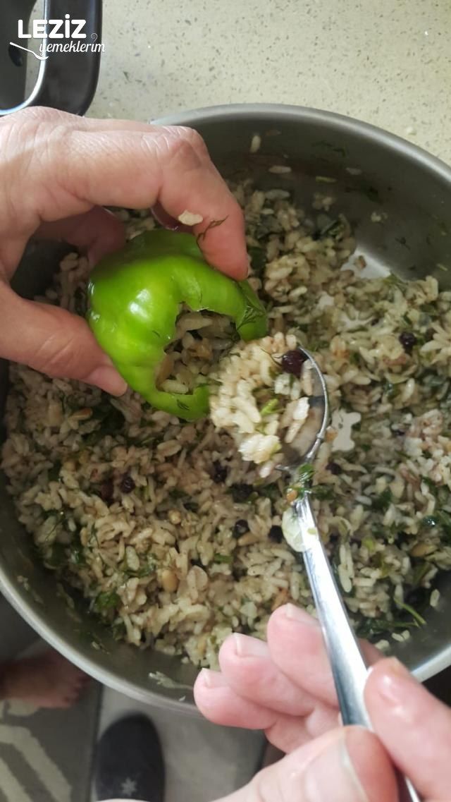 Nefis Zeytinyağlı Biber Dolması Tarifi