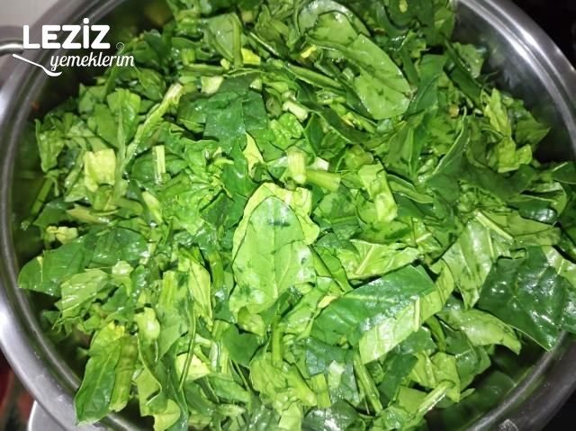 Leziz Ispanak Yemeği