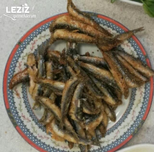 Hamsi Tava (Aşama Fotoğraflı)