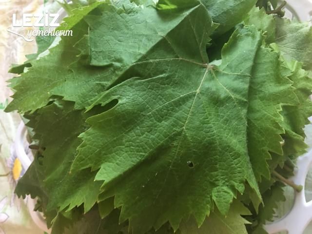 Kışlık Salamura Yaprak