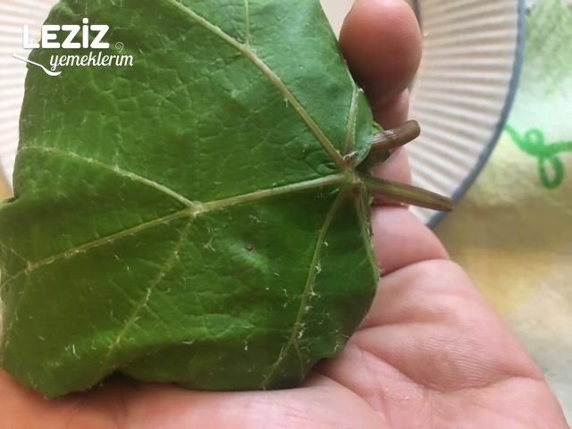 Kışlık Salamura Yaprak