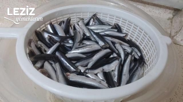 Yağlı Kağıtta Kokusuz Hamsi Tava