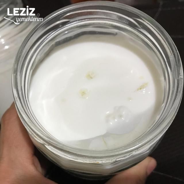 Kefir Nasıl Mayalanır?