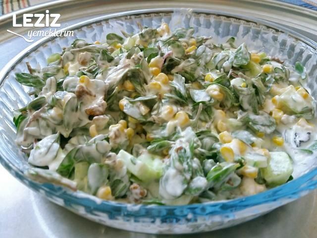 Yoğurtlu Semiz Otu Salatası Tarifi