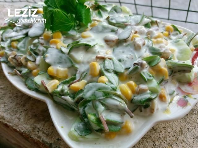 Yoğurtlu Semiz Otu Salatası Tarifi