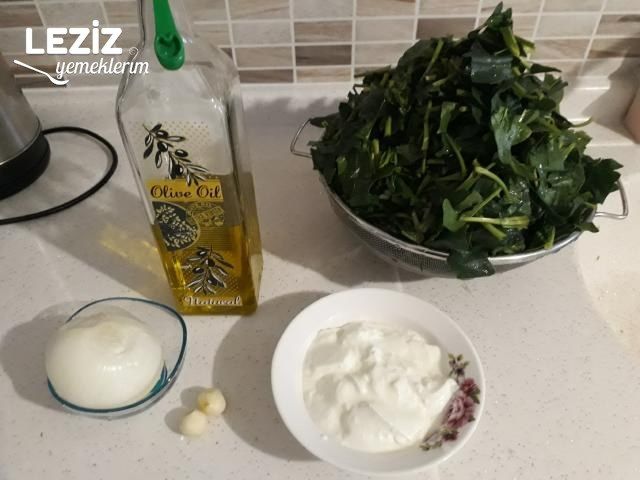 Ispanaklı Borani Tarifi