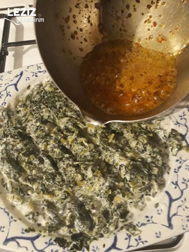 Ispanaklı Borani Tarifi