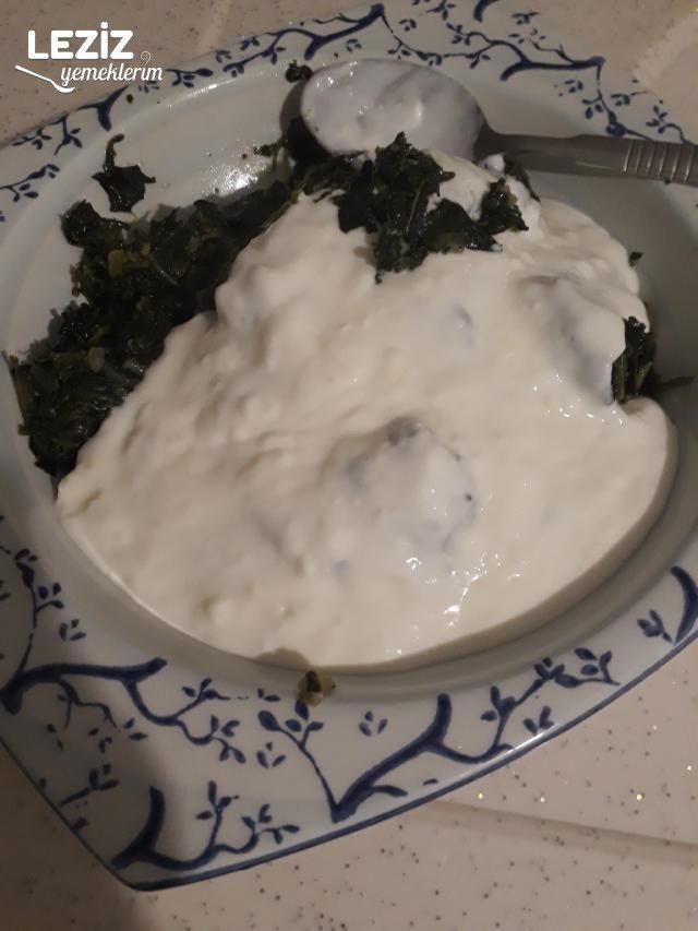 Ispanaklı Borani Tarifi