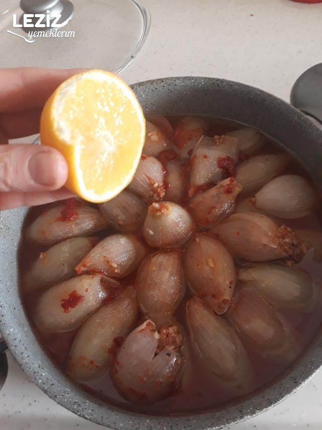 Mükemmel Soğan Dolması