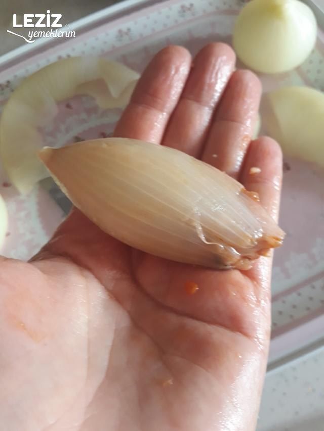 Mükemmel Soğan Dolması